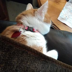 Meet your Posher, April